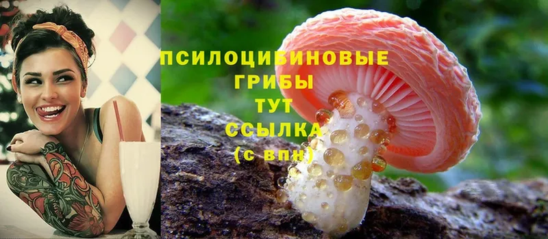 omg ССЫЛКА  Зверево  Галлюциногенные грибы MAGIC MUSHROOMS  продажа наркотиков 